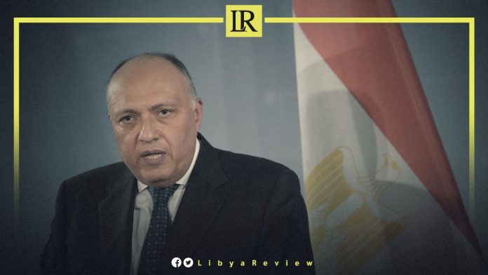 Egyptian Foreign Minister, Sameh Shoukry