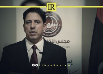 Libyan MP Advocates for Developmental Approach to Migration Crisis