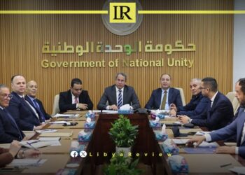 Libya Launches E-Visa System