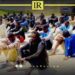 43 African Migrants Delivered to Libya’s “Ain Zara Shelter”