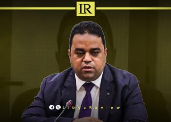 Libyan Labour Minister Urges Political & Economic Stability in Africa to Curb Migration