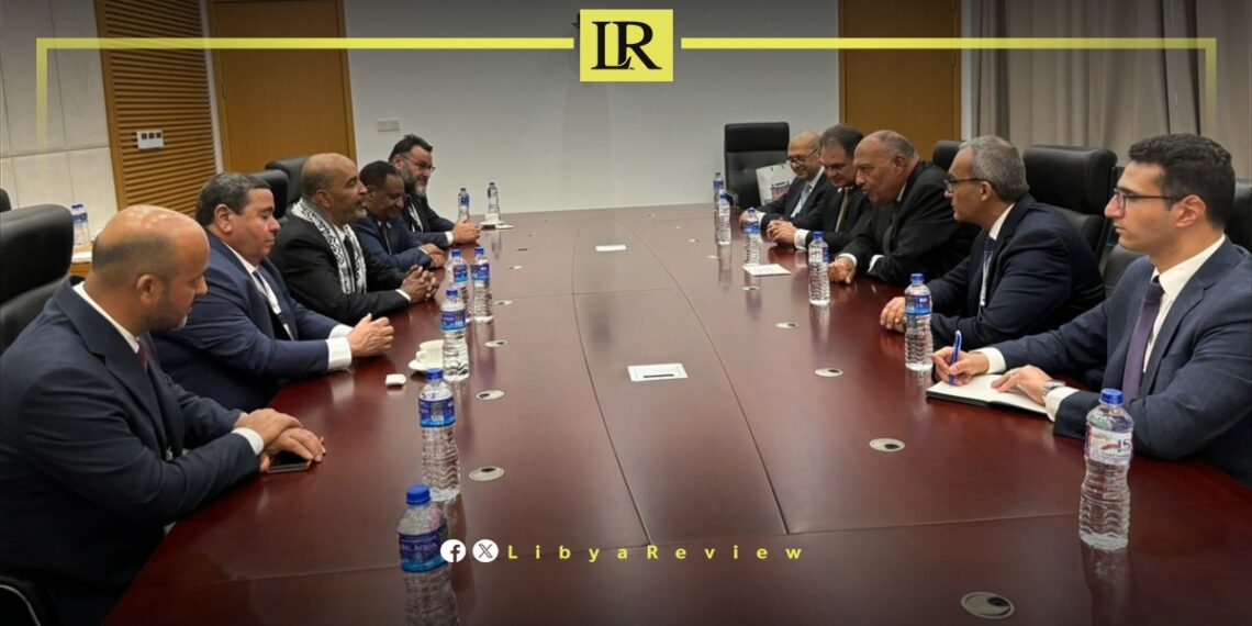 Egypt Reiterates Support for Political Solution in Libya
