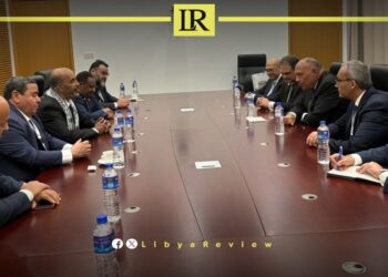 Egypt Reiterates Support for Political Solution in Libya