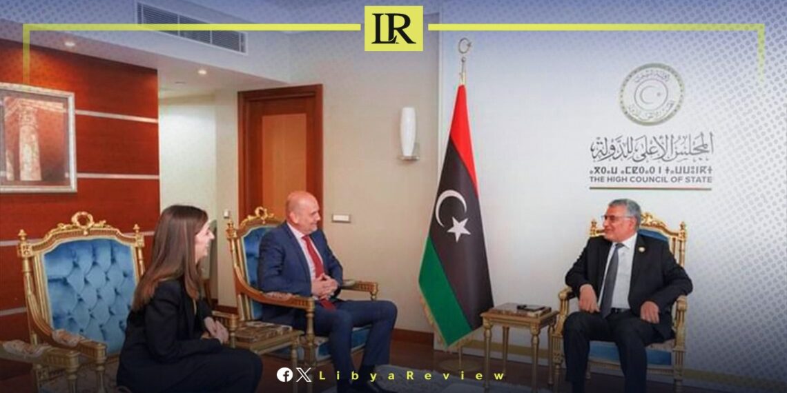 Libya & Red Cross Discuss Cooperation