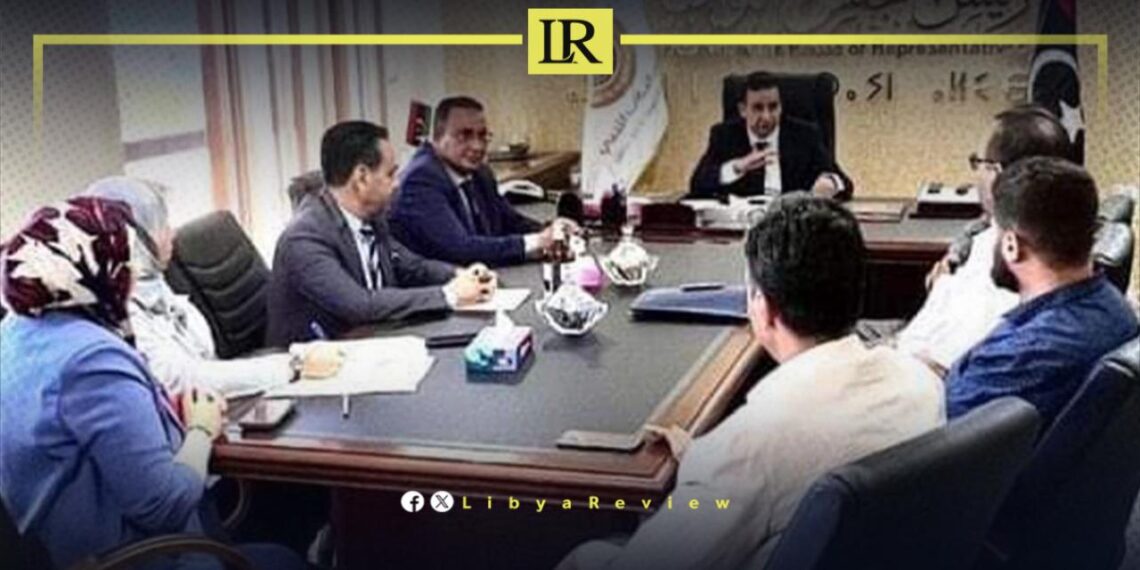 Libyan Parliament Discusses Illegal Migration Policies