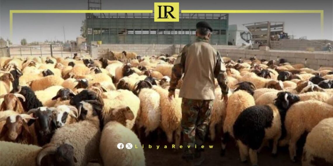 Haftar Orders Distribution of “Eid Sheep” to Families in Need in Libya