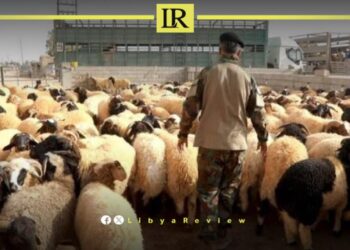 Haftar Orders Distribution of “Eid Sheep” to Families in Need in Libya