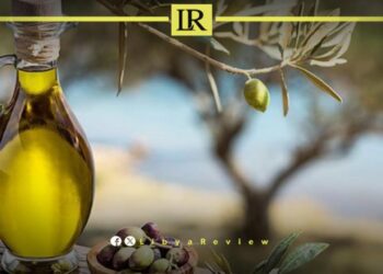 Libyan Olive Oil Secures International Accreditation