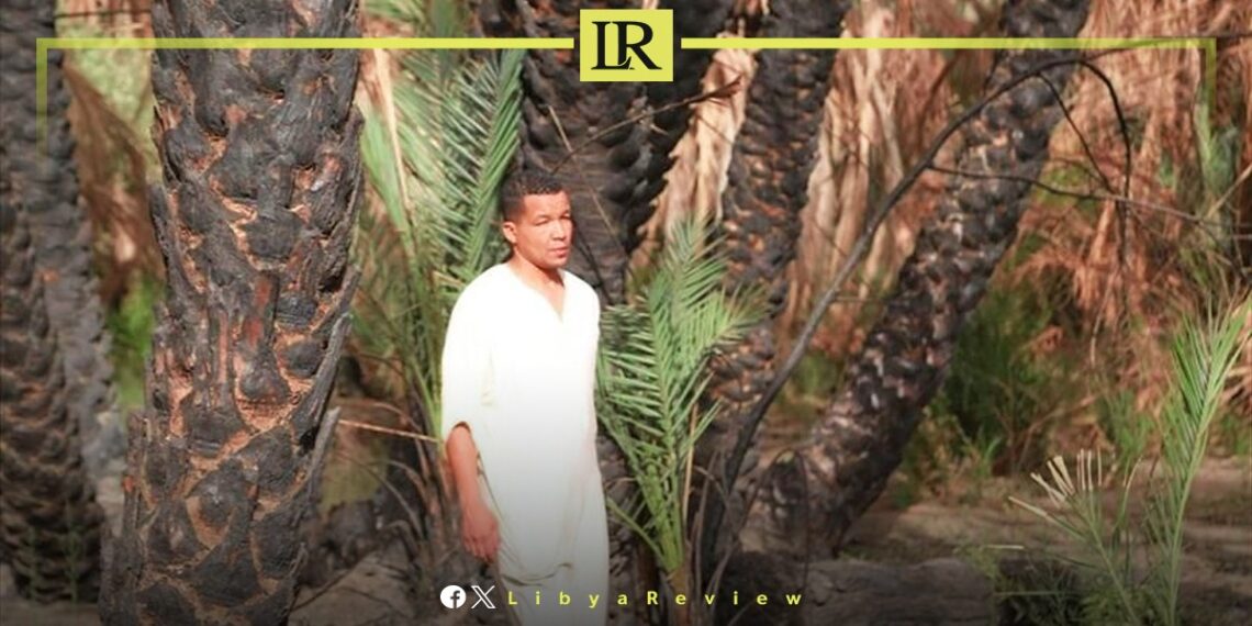 Heat Wave Fires Destroy 70% of Palm Trees in Libyan Farms