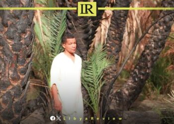 Heat Wave Fires Destroy 70% of Palm Trees in Libyan Farms