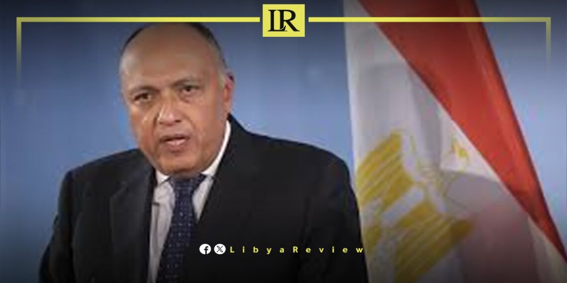 Egyptian FM Urges Withdrawal of Foreign Forces from Libya