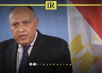 Egyptian FM Urges Withdrawal of Foreign Forces from Libya