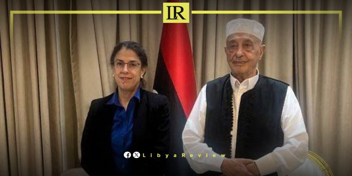 UN & Libyan Leaders Discuss Election Laws