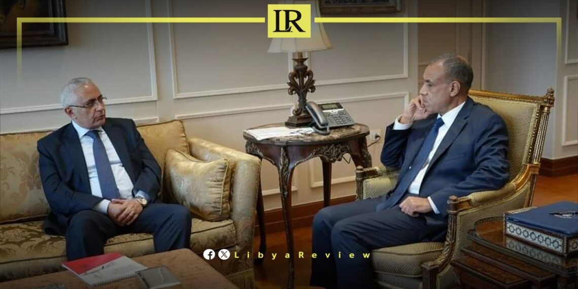 Egyptian FM Discusses Libya’s Stability Efforts