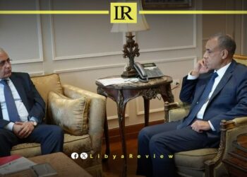 Egyptian FM Discusses Libya’s Stability Efforts