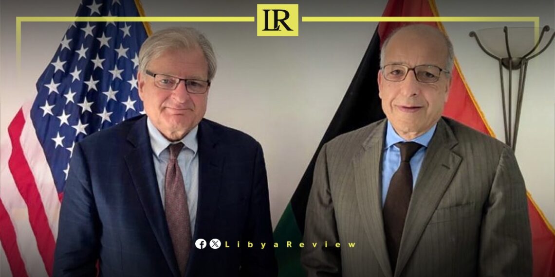 Norland Warns Against Forcing Out Libyan Central Bank Governor