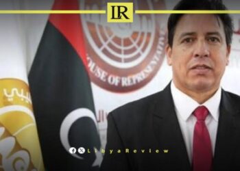 Libyan MP Calls for International Support of Legitimate Government