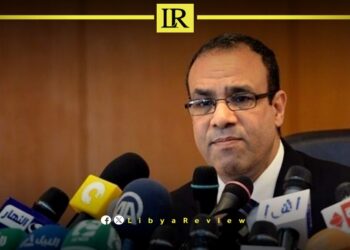 Egyptian FM Confirms Egypt’s Efforts to Resolve Libyan Crisis