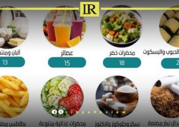 Egypt’s Food Industry Exports to Libya Reach $183 Million