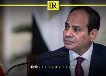 Egyptian President Advocates for Stability in Libya & Sudan