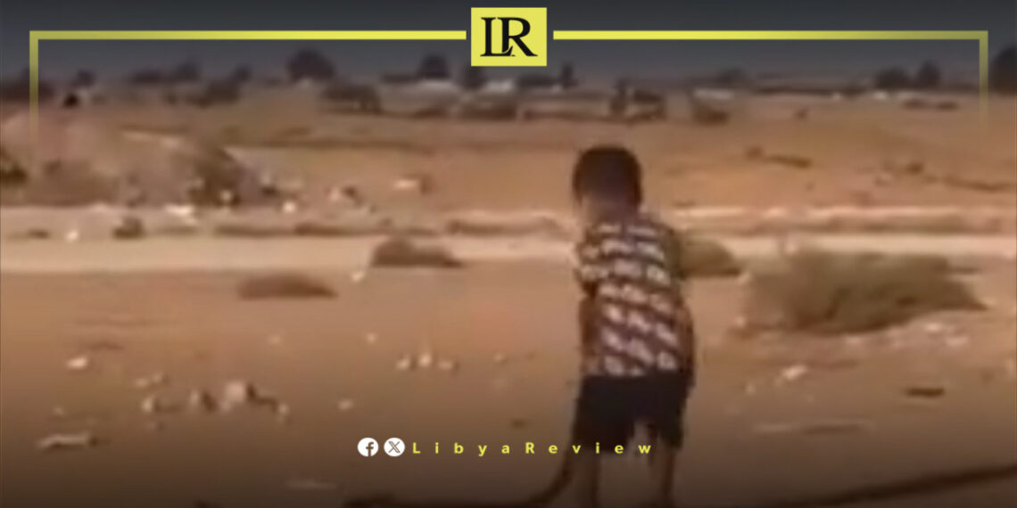 Video of Libyan Child Playing with Venomous Cobra Stirs Controversy