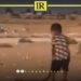 Video of Libyan Child Playing with Venomous Cobra Stirs Controversy