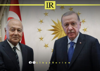 Arab League & Turkey Discuss Peace Efforts to Resolve Libyan Crises