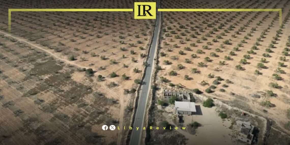 FAO Partners with Libya to Boost Agriculture & Food Security