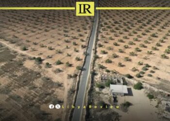 FAO Partners with Libya to Boost Agriculture & Food Security