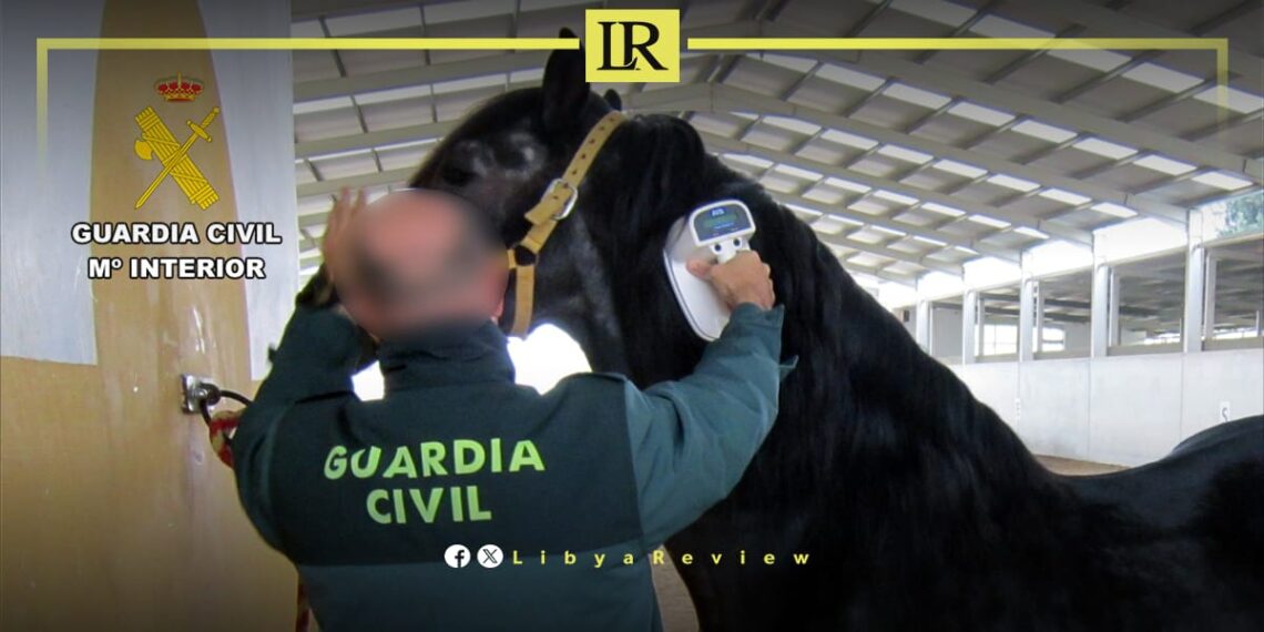 Horse Smuggling Network to Libya Uncovered in Spain