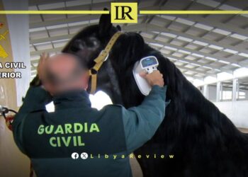 Horse Smuggling Network to Libya Uncovered in Spain