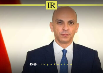 Egypt Reaffirms Support for Libyan-Led Political Solution