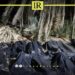 19 Migrants Found Dead in Mass Grave in Libya