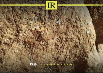 Libya & UNDP Discuss Maritime Resources Cooperation