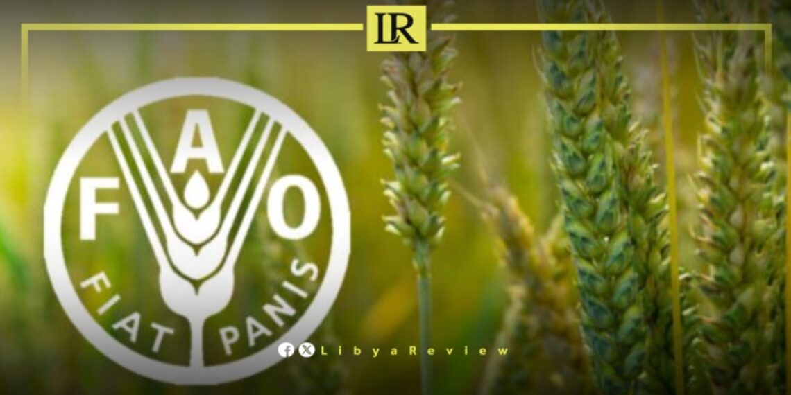FAO Warns of Libya’s Agricultural Decline