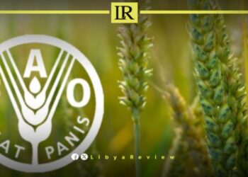FAO Warns of Libya’s Agricultural Decline