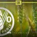 FAO Warns of Libya’s Agricultural Decline