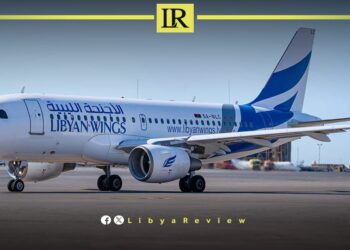 “Libyan Wings” Cancels Flights After Bird Strike in Istanbul