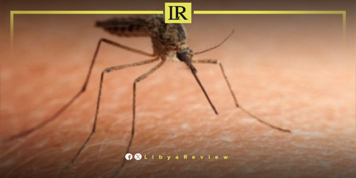 38 Cases of Leishmaniasis Detected in Libya