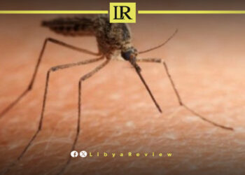 38 Cases of Leishmaniasis Detected in Libya