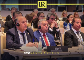 Libya Reviews Institutional Development at Global Meeting