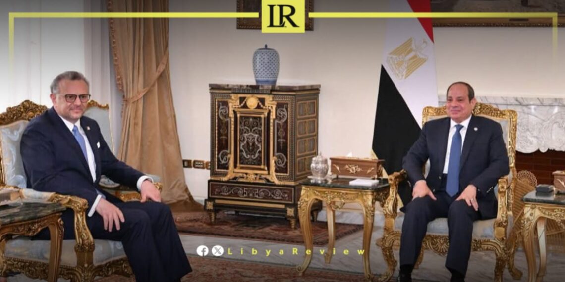 Egypt Calls for Libyan-Led Political Settlement