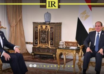 Egypt Calls for Libyan-Led Political Settlement