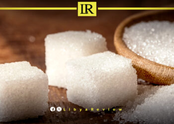 Libya Orders Arrest of Health Minister Over Drug Import Scandal