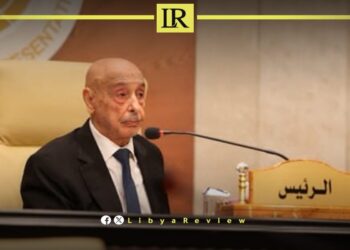 Libyan Parliament Speaker Urges Global Support for New Government