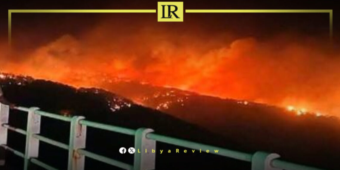 Libya Confirms No Human Losses in Wadi Al-Kouf Wildfires