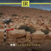 New Archaeological Site Identified in Benghazi
