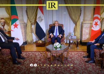 Egypt, Algeria, and Tunisia have jointly called on all Libyan parties to exercise maximum restraint and immediately halt the ongoing escalation