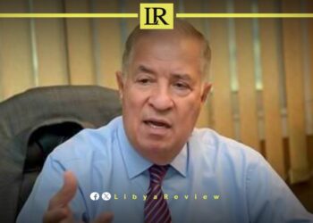 Egypt Plans New Industrial Zone in Libya