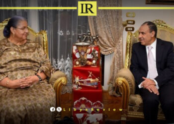 Egypt Reaffirms Support for Libyan-Led Political Solution